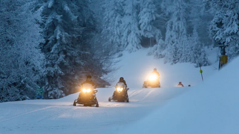 Two snowmobiles on a snowy trail through the spruce at dusk, headlights on