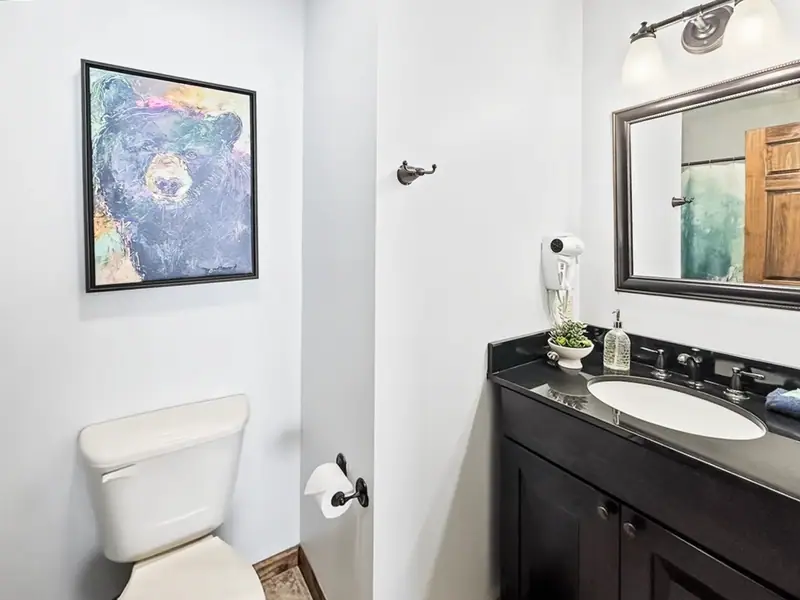 Bathroom 3, Black Bear 32
