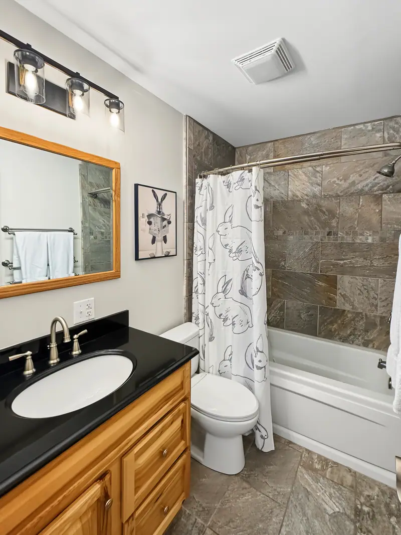 Bathroom 2, Black Bear 33