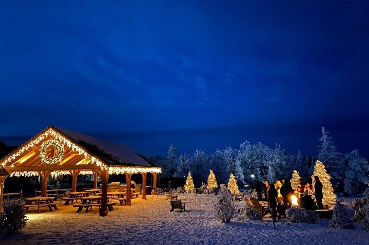 The Black Bear Crossing pavilion lit up on a snowy night