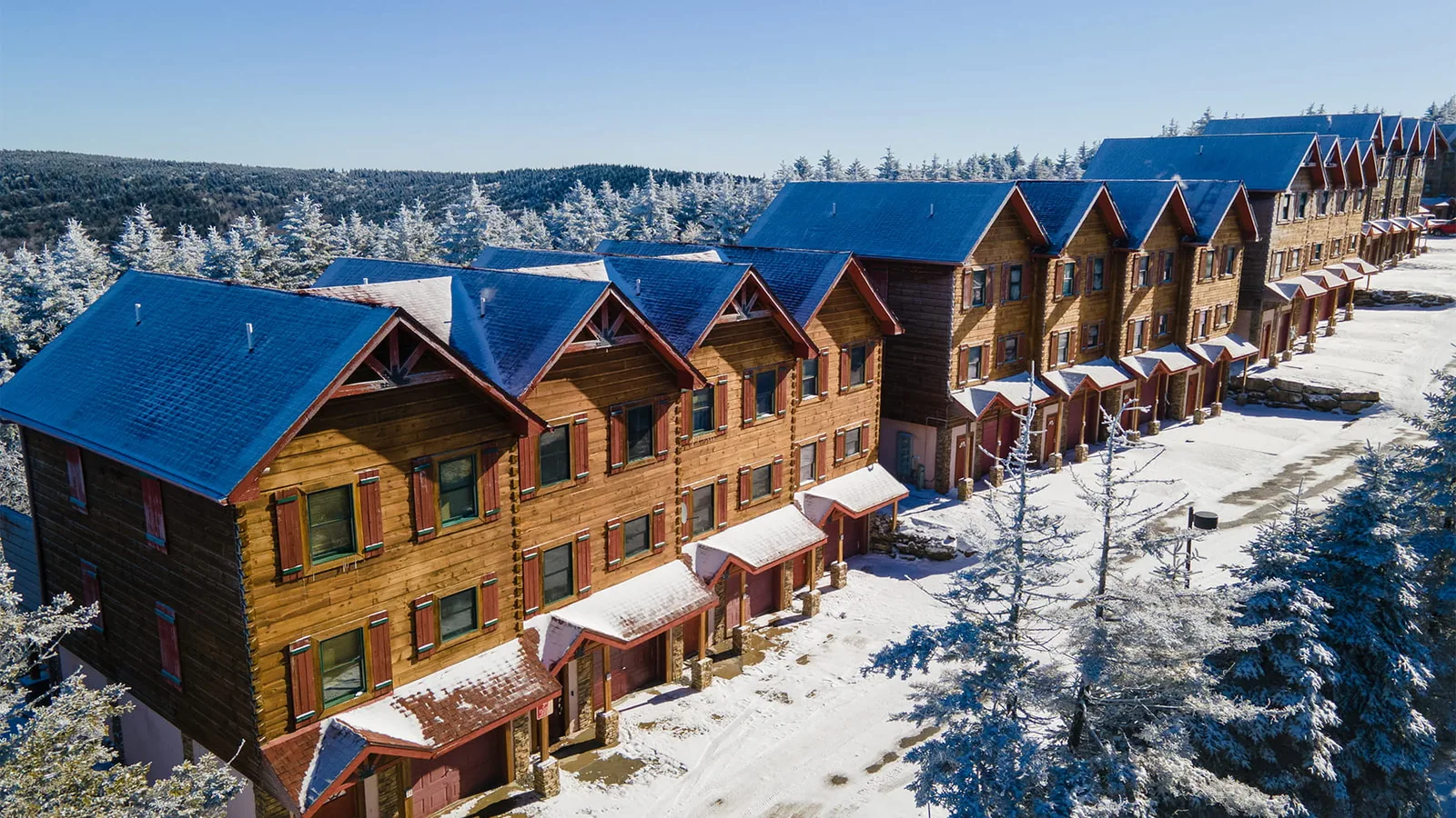 Loggers Run log townhomes in the snow, with blue roofs and spruce trees along the slope