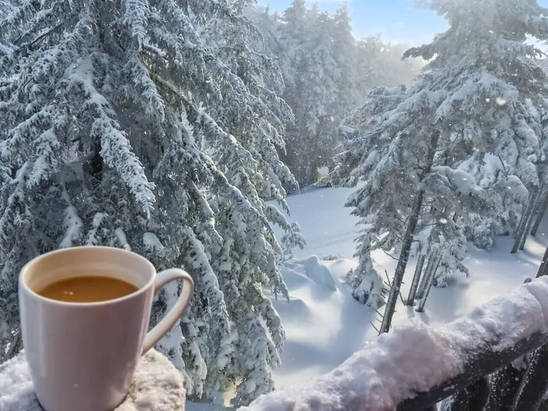 Deck view winter, Loggers Run 16