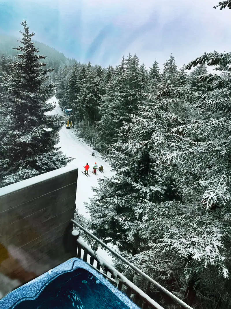 Deck view slope, Loggers Run 16