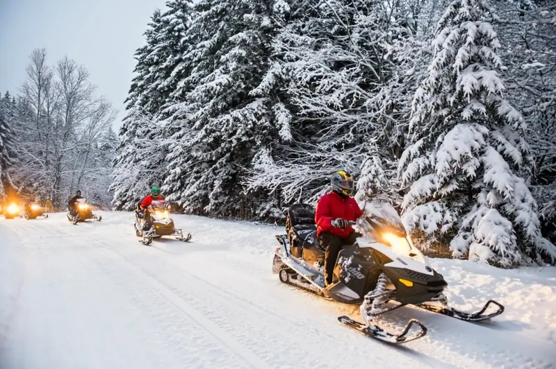 Snowmobile tour riding a snowy trail through the spruce